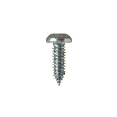 GE WD1X550 Screw