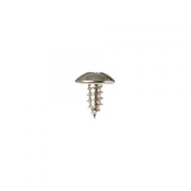 GE WD2X430 Screw