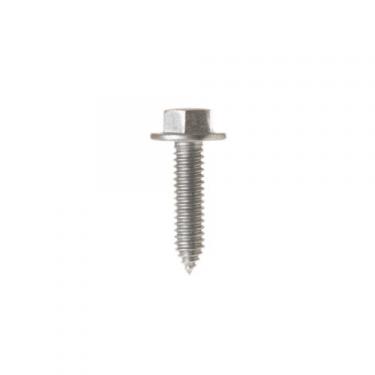 GE WR1X1249D Screw-Pkg 12