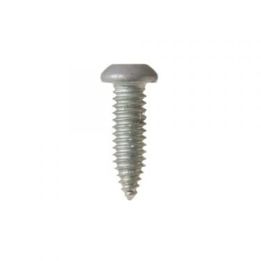 GE WR1X1753 Screw